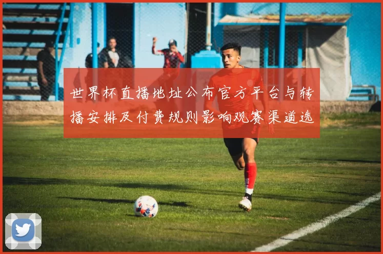 世界杯直播地址公布官方平台与转播安排及付费规则影响观赛渠道选择