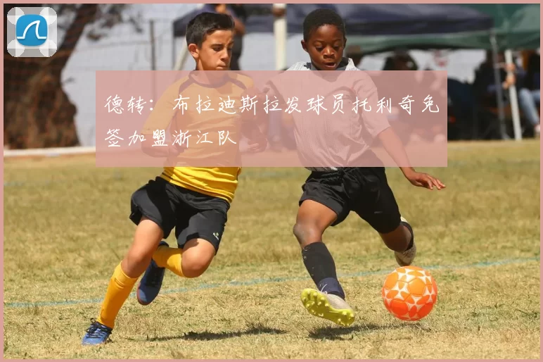 德转：布拉迪斯拉发球员托利奇免签加盟浙江队